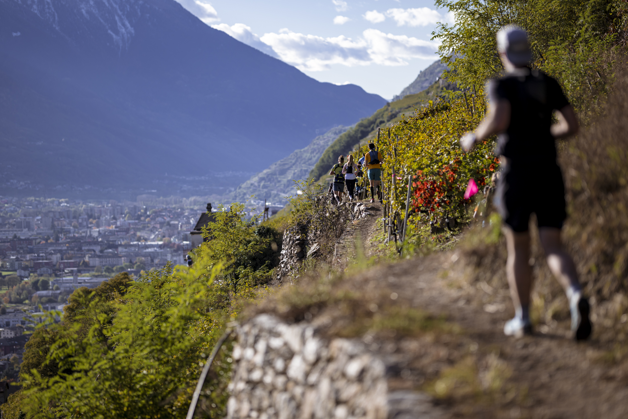 valtellina wine trail 2024