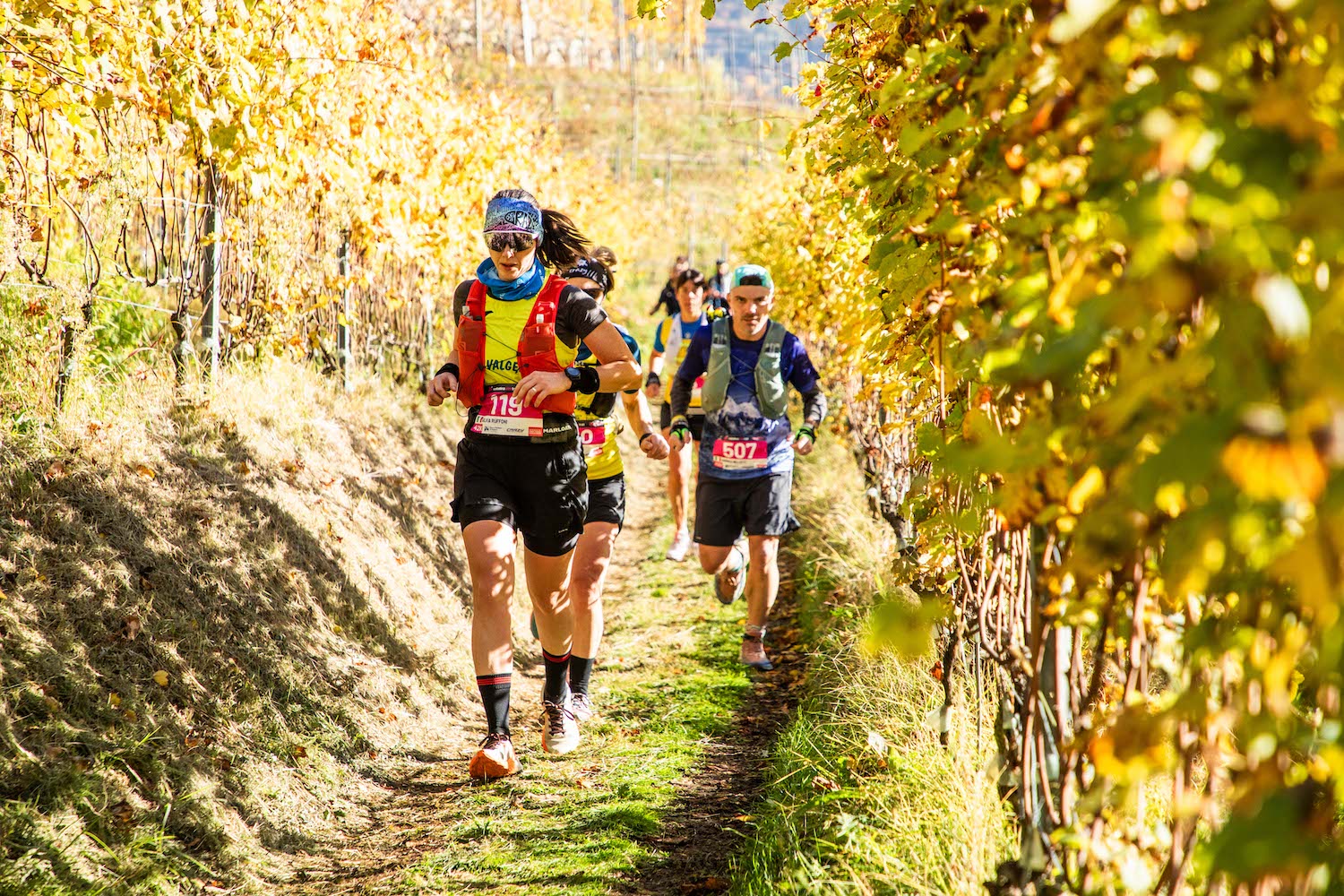 Valtellina WIne Trail